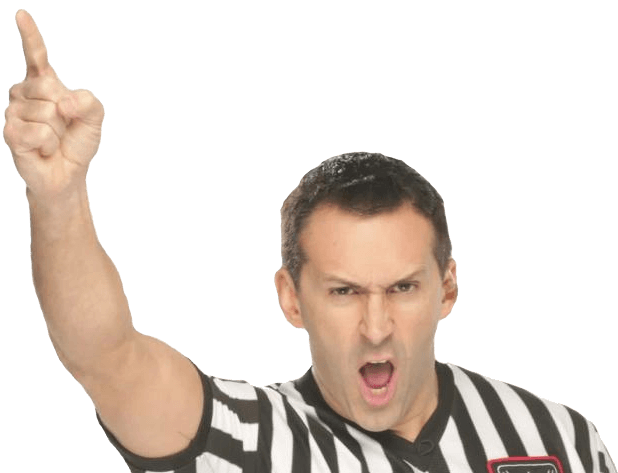 Referee pointing in the air declaring the winner